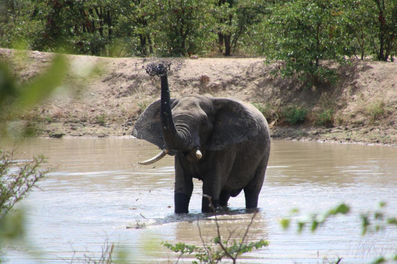 Bushvilla Umoja Kruger Phalaborwa Exterior foto