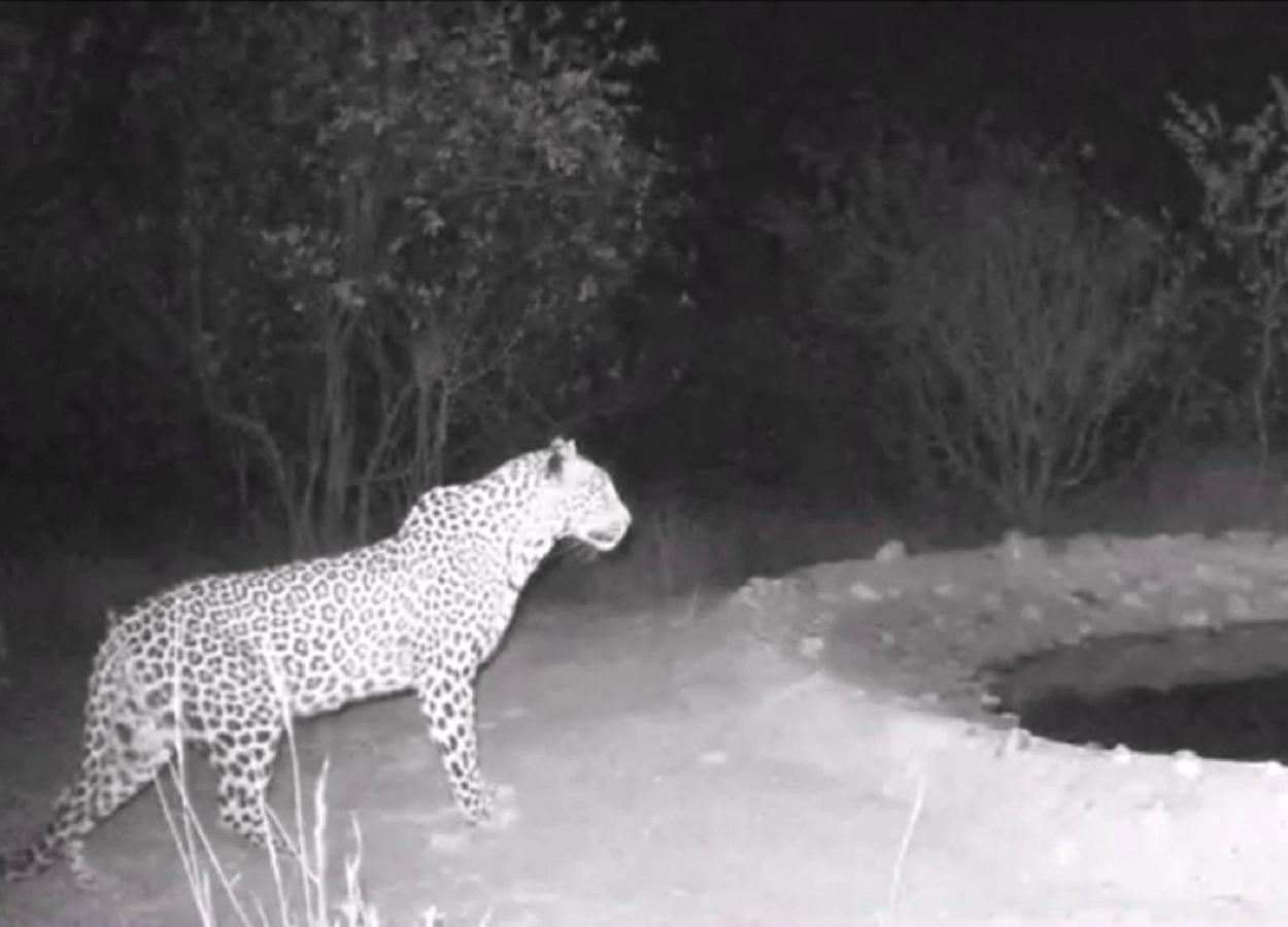 Bushvilla Umoja Kruger Phalaborwa Exterior foto