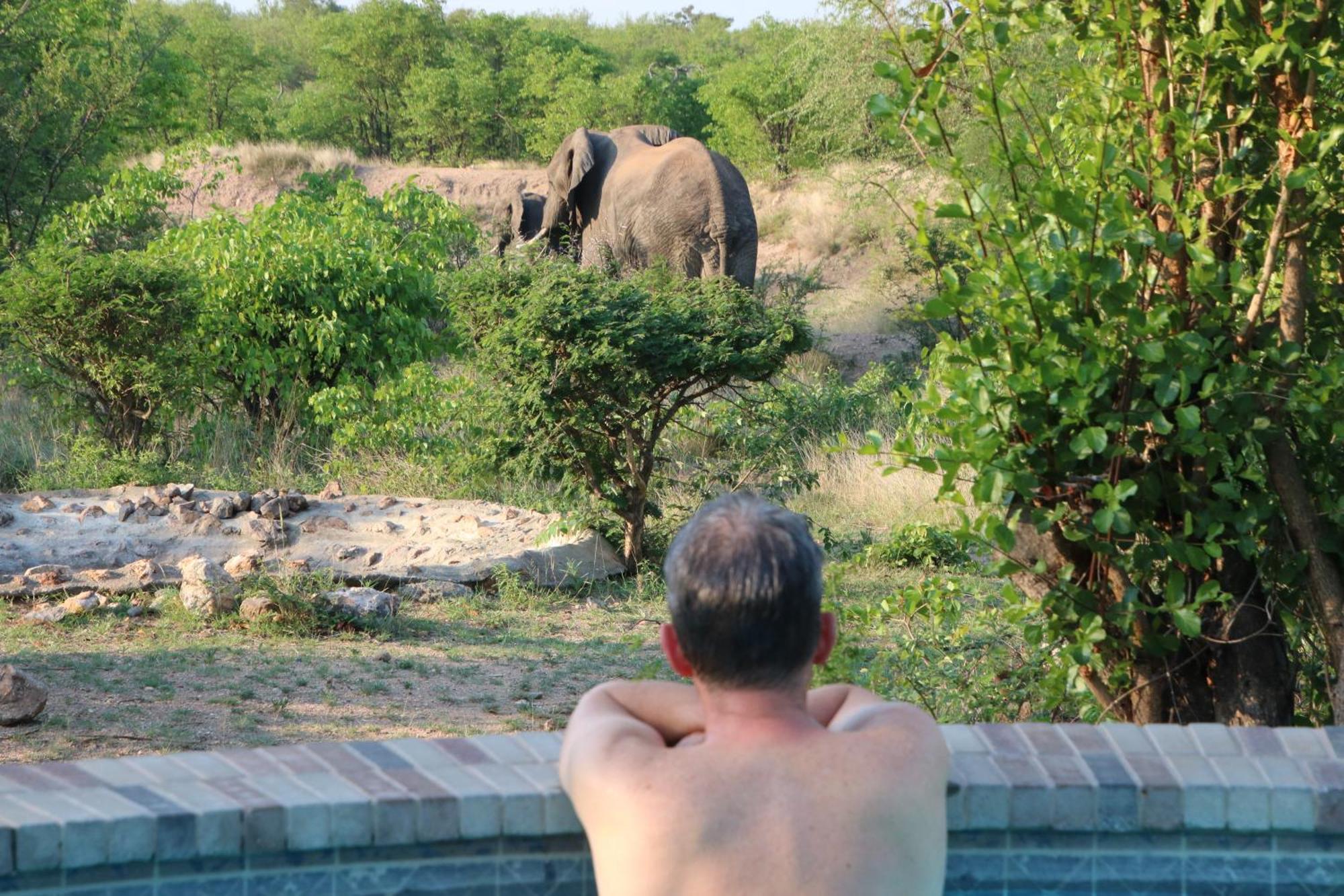 Bushvilla Umoja Kruger Phalaborwa Exterior foto