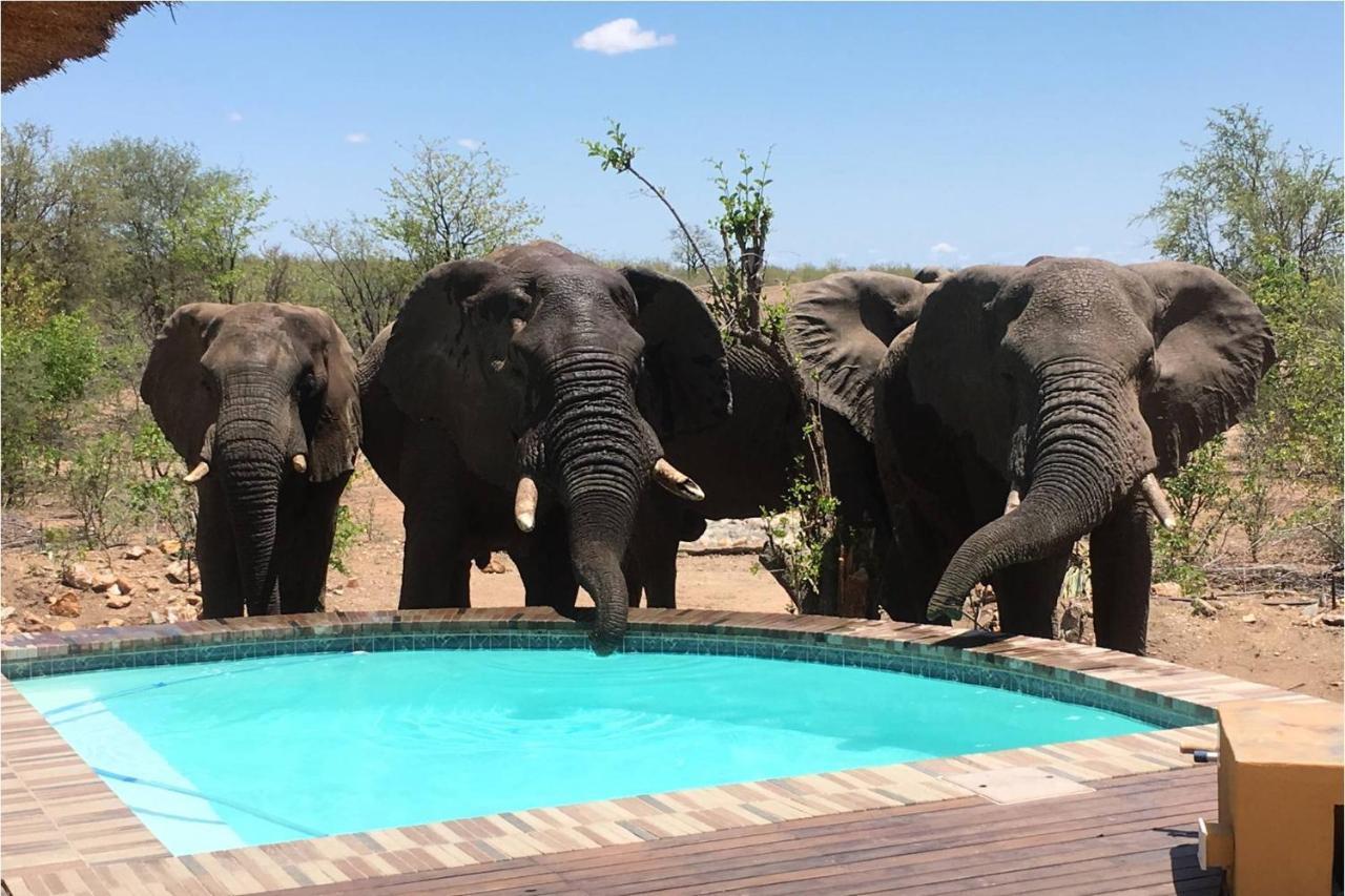 Bushvilla Umoja Kruger Phalaborwa Exterior foto